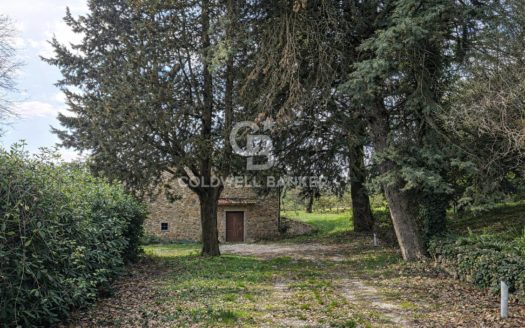 Immobile in Montecatini Val di Cecina